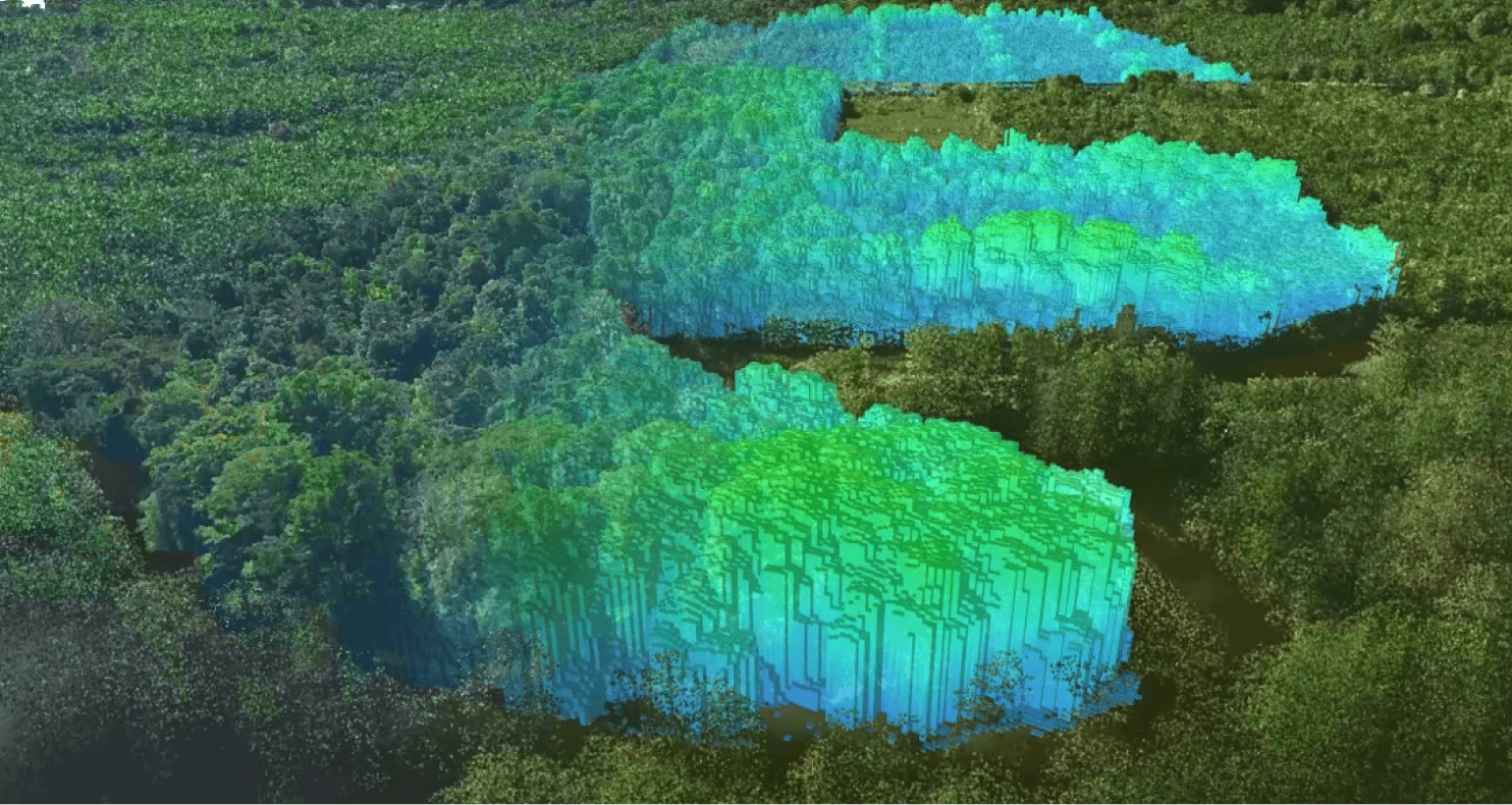 Nature asset: Safeguarding biodiversity corridors through corporate sponsorship